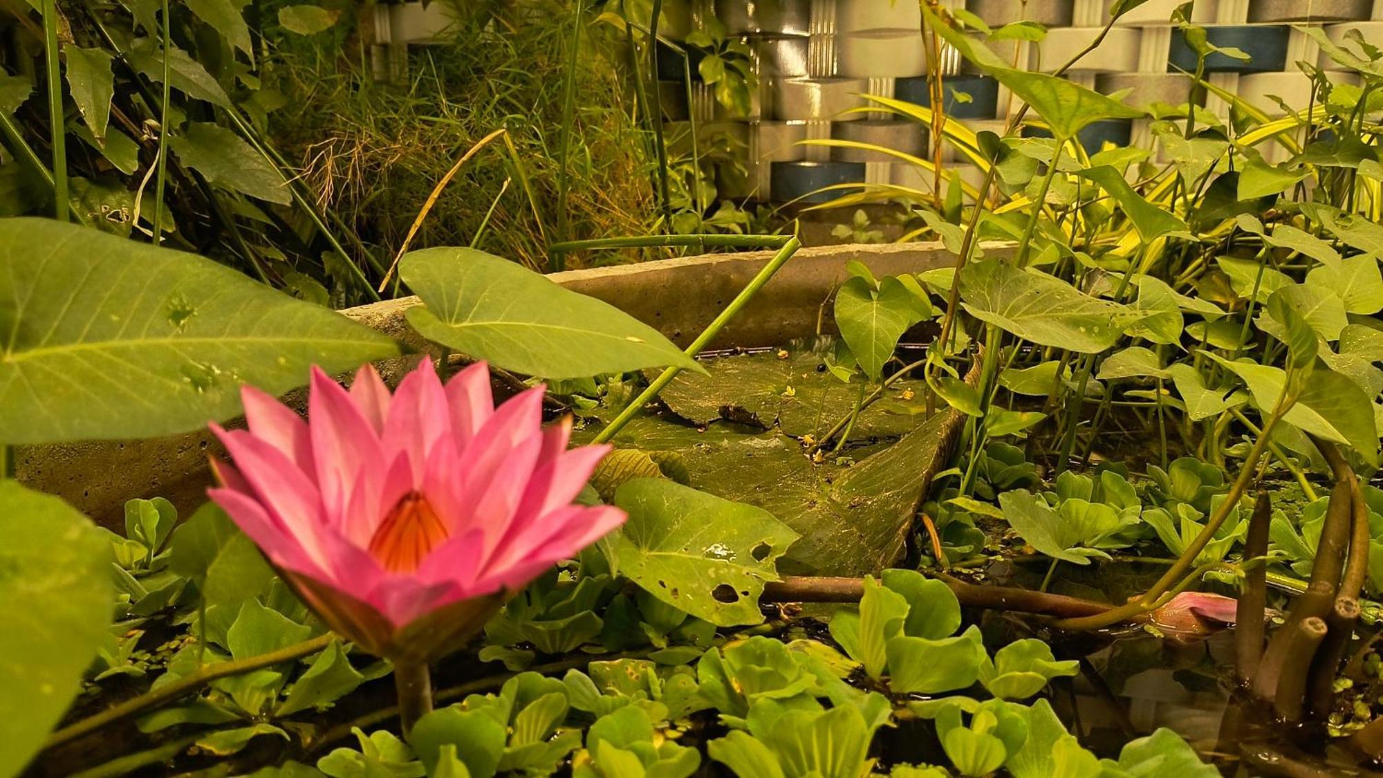 Gt Guest House Virampattinam Luaran gambar
